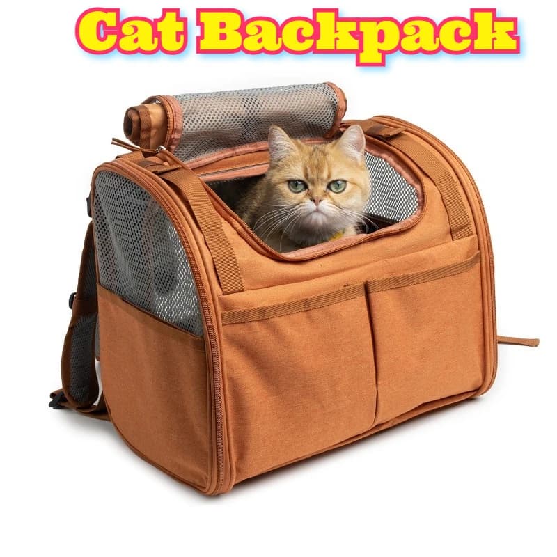 ‌ Zaino espandibile per gatti Trasportino traspirante Ampio spazio Viaggio per animali domestici All'aperto Capsula spaziale portatile Bolla Escursionismo Avventura imbottita