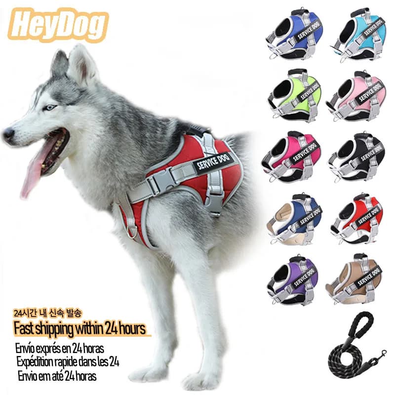 Pettorina Service for Dogs No Pull Hook for Dogs Suitable for large dog vests Style Walking Racing Control Dog Strap Accessories Prevent loss