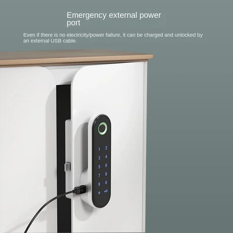 Serratura Elettronica Intelligente per Armadietto Sauna, Porta e Cassetto, con Impronta Digitale e Password, Zincata, 150x42x32mm