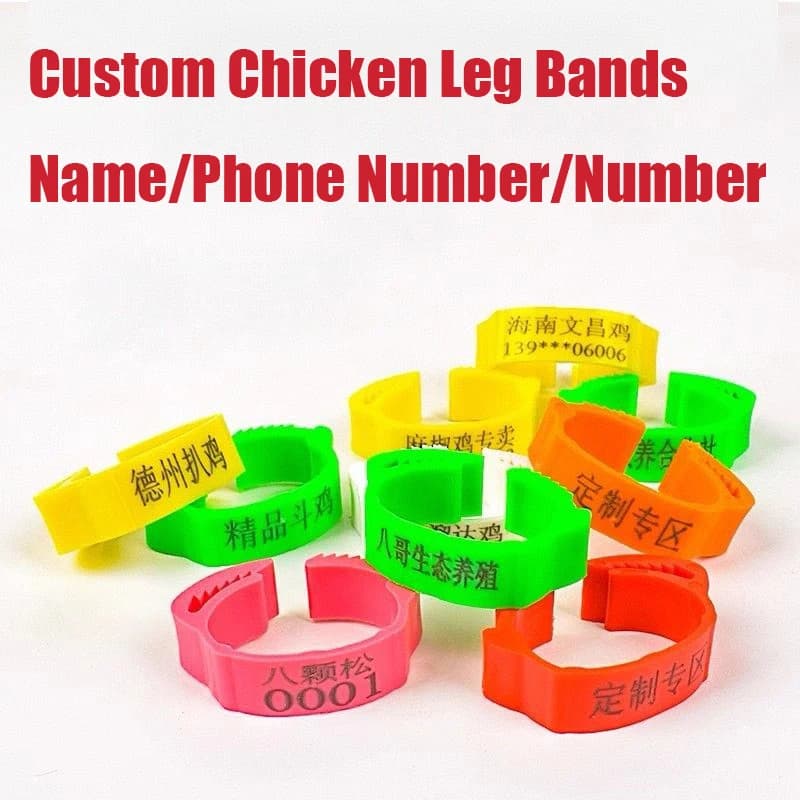 Customized chicken legs, snap chicken legs rings, laser engraved identification labels for chickens, ducks, geese and pigeons 100 pieces