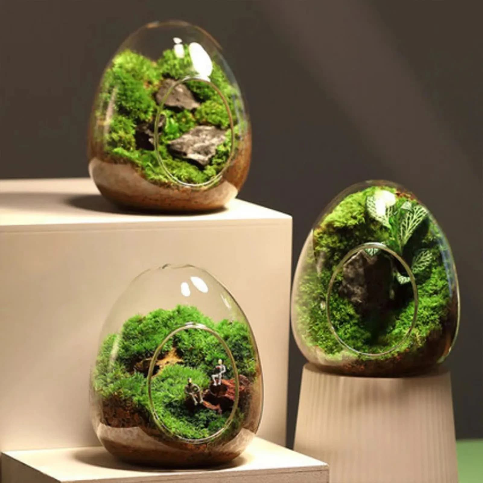 Mini Landscap Plants Moss Bottle Vivid and Lovely Landscap Vase for Succulent Plants Versatile Succulent Display