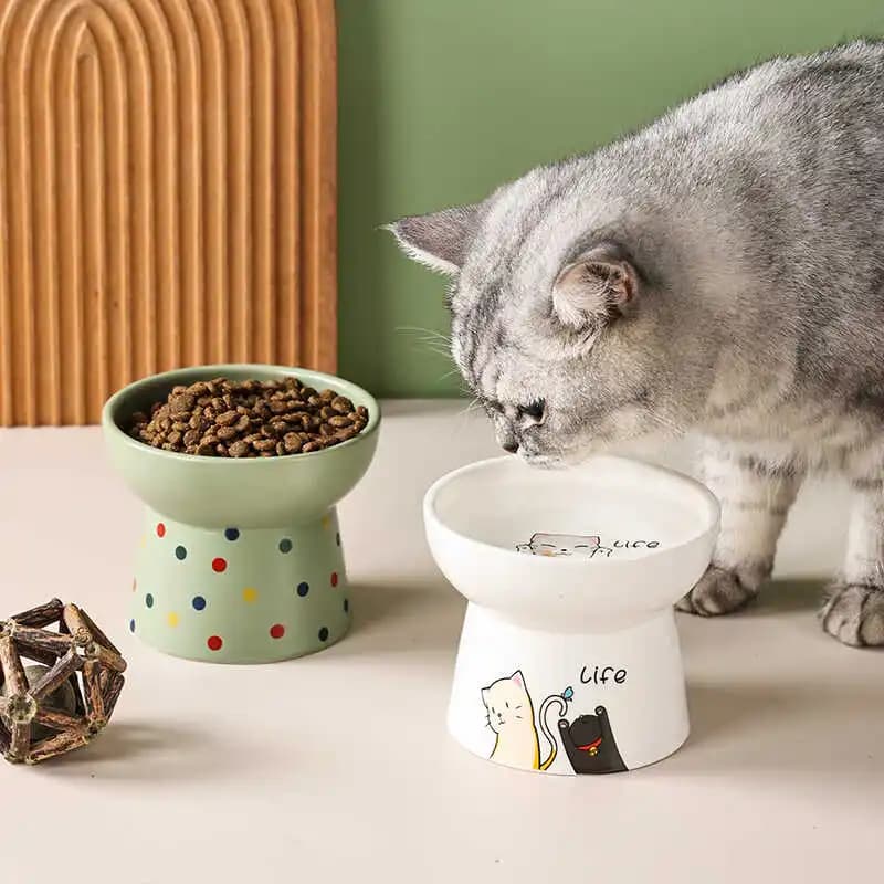 Ciotola Rialzata per Animali Domestici con Design Anti-Ribaltamento per Cani e Gatti, Ciotola Universale per Cibo e Acqua con Protezione per il Collo