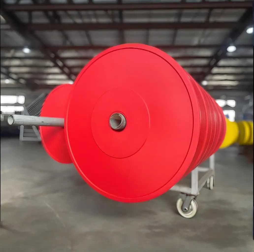 Piastra Pesi Rotonda da 30Kg in Ghisa Verniciata per Attrezzature di Sollevamento, Dischi per Bilanciere, Uso Commerciale in Palestra