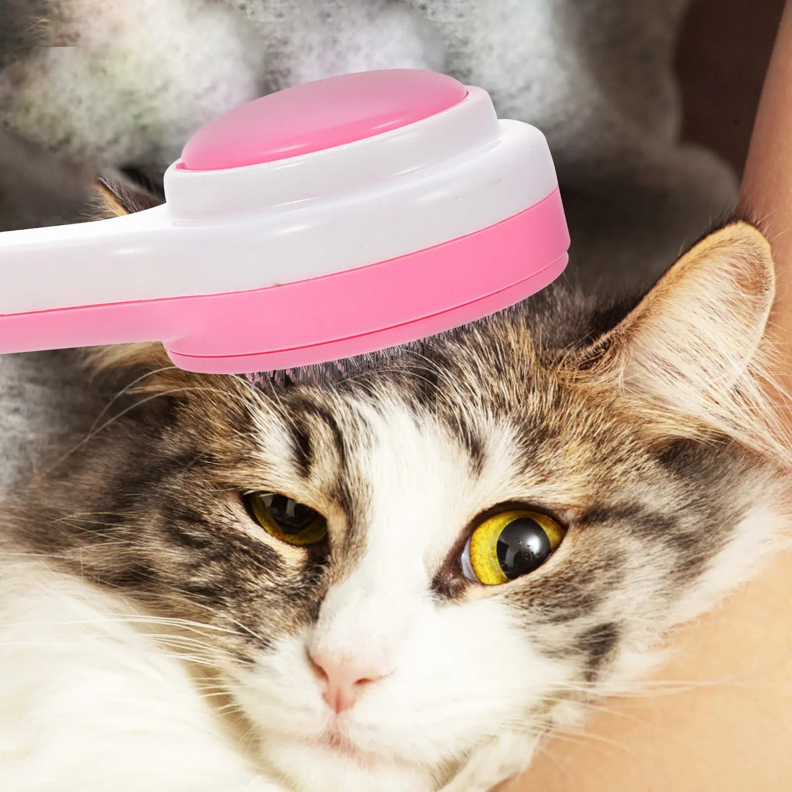 Spazzola Premium per Toelettatura Gatti con Aghi in Acciaio Inossidabile, Accessorio Multifunzione per Animali Domestici, Facile da Usare, Senza Disagio, Durevole, per la Pulizia dei Gattini