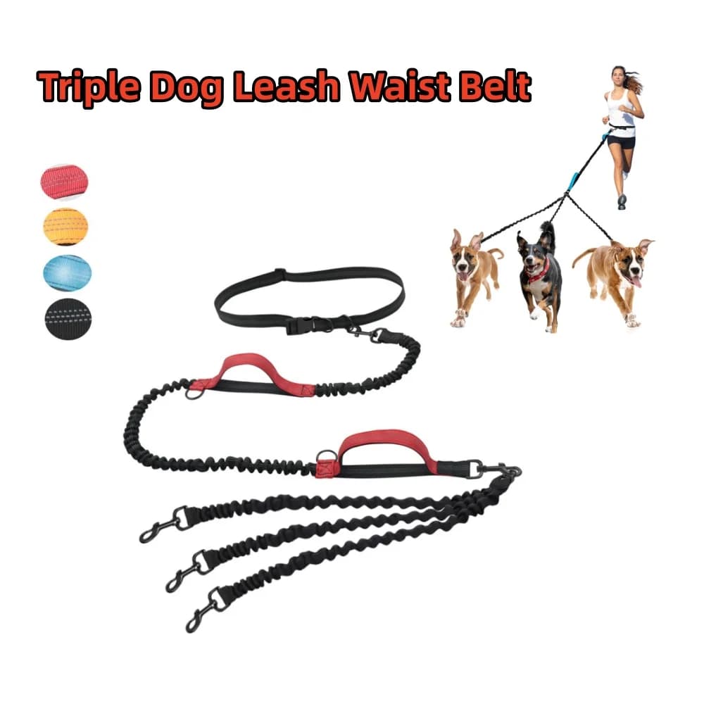 Hands-Free Triple Dog Leash Waist Belt No-Tangle Elastic Dog Walking Lead Reflective Bungee Running Belt for Multiple Dogs
