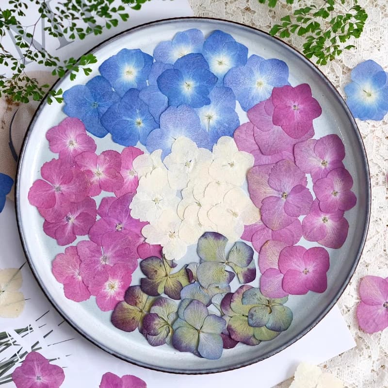 12pcs,Pressed Hydrangea Dried Flower Craft Kit DIY Scrapbooking Greeting Card Craft Supplies for Dirp Glue Jewelry Phone Case