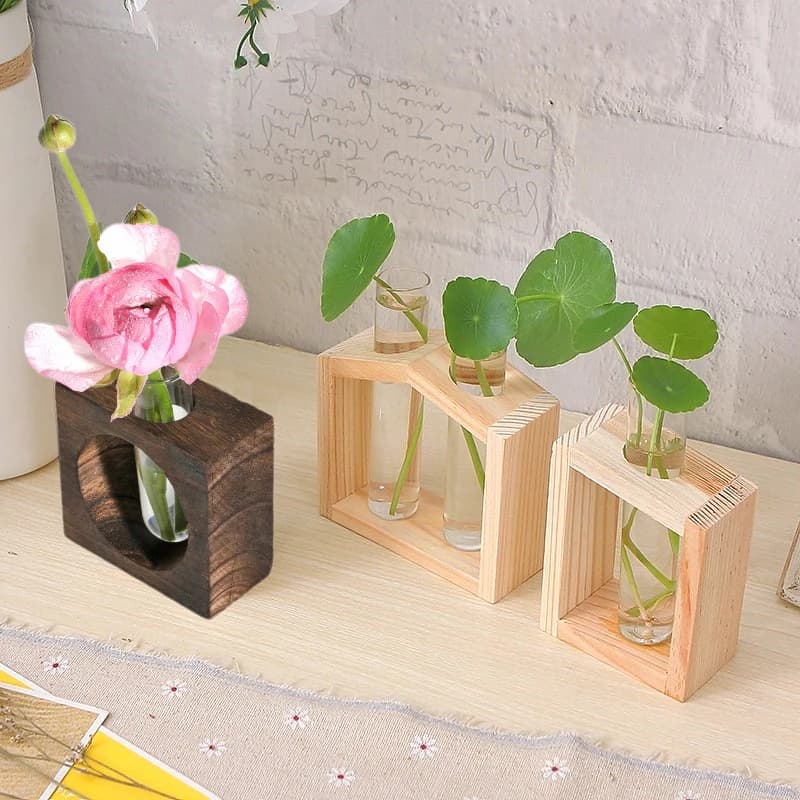 Contenitore per Piante Idroponiche con Cornice in Legno, Vaso in Vetro Trasparente, Decorazione da Tavolo per Casa e Bonsai