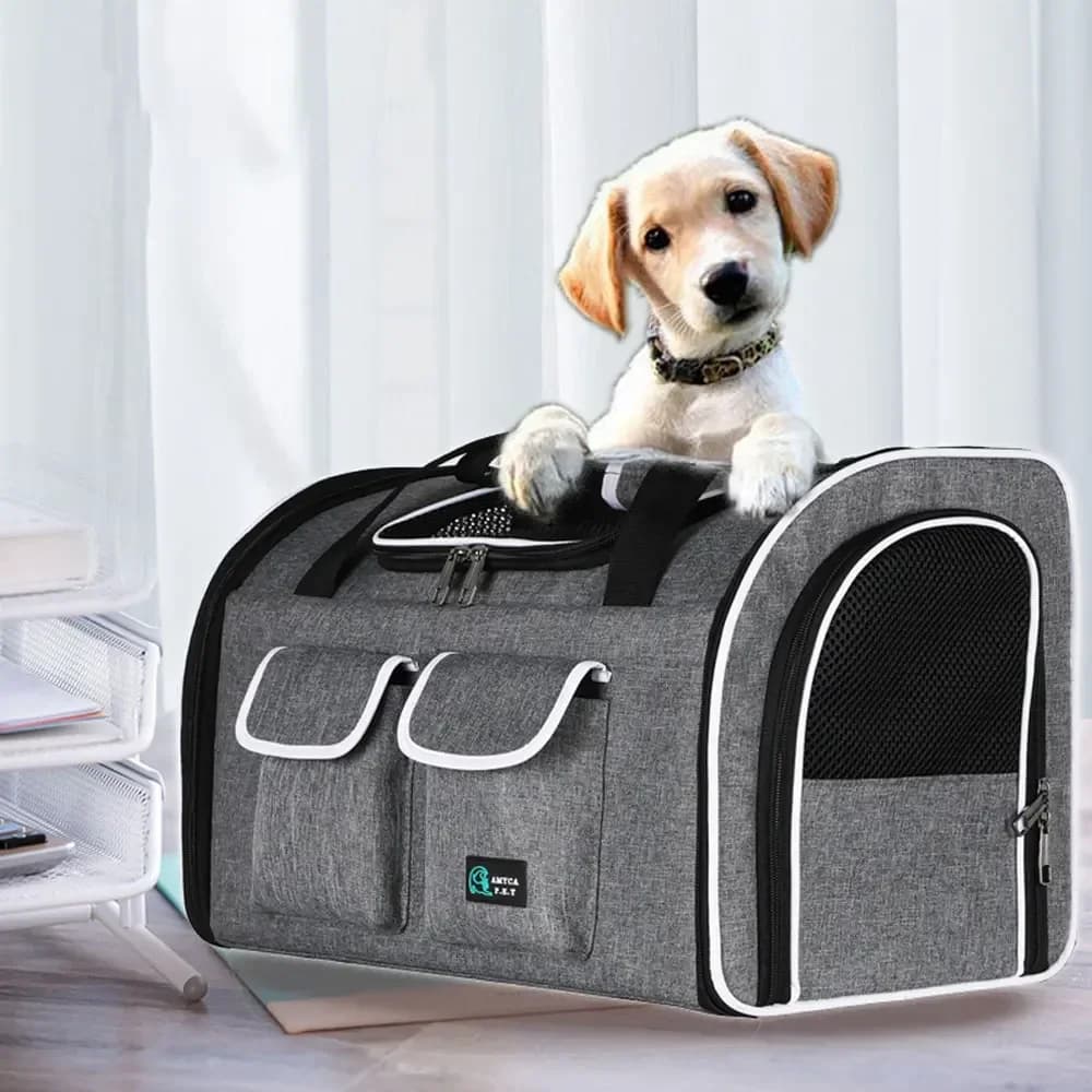 Borsa a tracolla portatile per gatti da compagnia Borsa da trasporto traspirante per cuccioli di gatto Borsa da viaggio per trasporto di animali domestici Borsa da trasporto per cani gatto