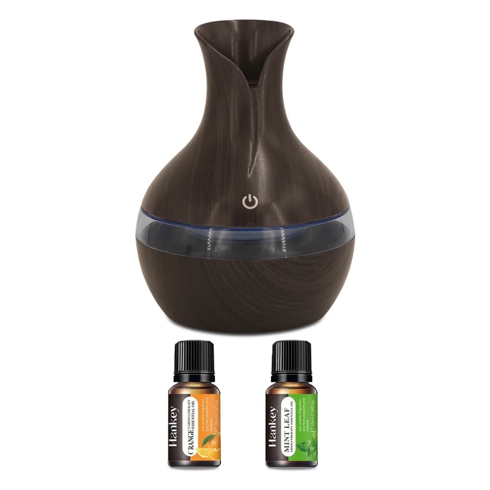 Umidificatore da tavolo USB da 300 ml con 2 oli essenziali lenitivi Rilassa la tua mente e il corpo ovunque
