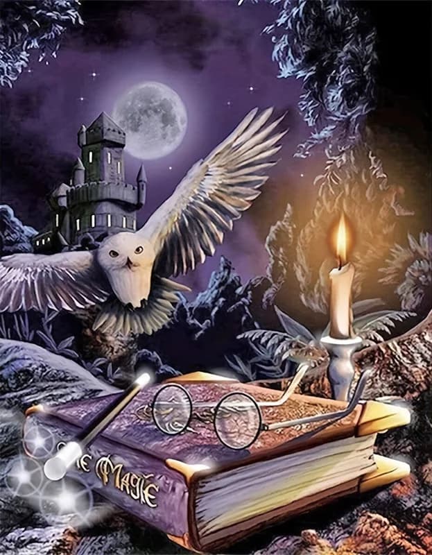 Magic Owl with Spell Book 5D DIY Full Drill Diamond Painting Kit, Fantasy Wizard Home Wall Decor