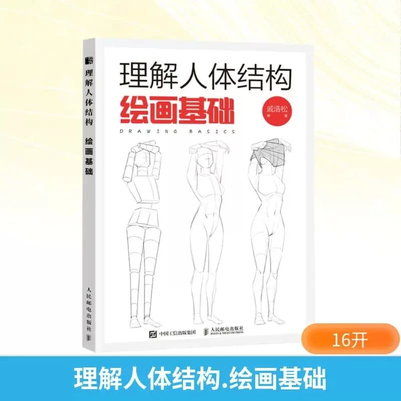Foundations of Painting: Understand the Human Body Structure Anatomy Study Drawing Basics Book Sketch and Quick Drawing Tutorial
