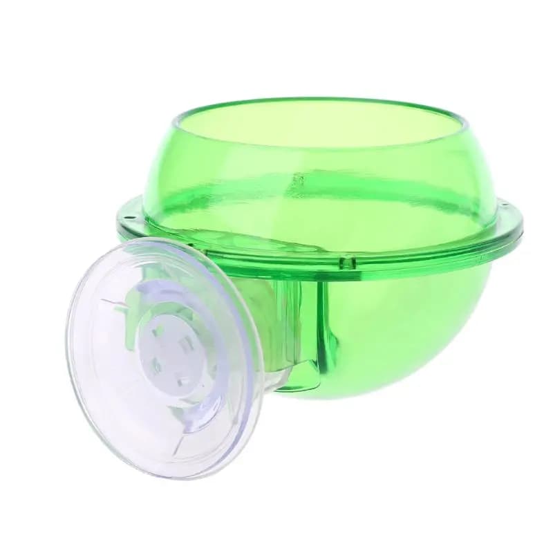 Ciotola per cibo per rettili tartaruga, tazza anti-fuga, verme lucertola, contenitore per cibo vivo, animale domestico