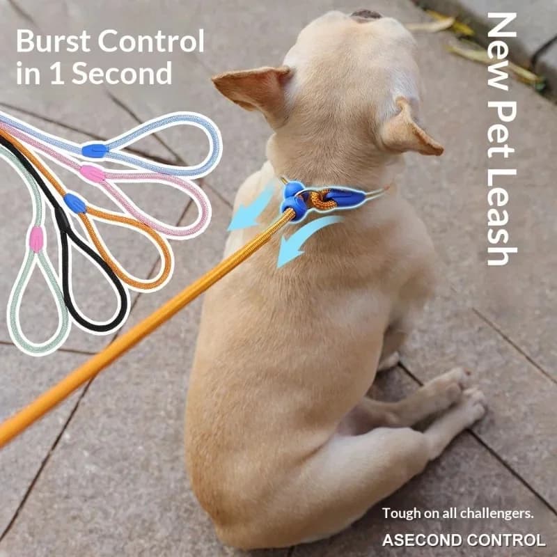160cm Adjustable Nylon Dog Slip Lead P-Chain Leash Anti-Choke Training Rope for Small Medium Dogs