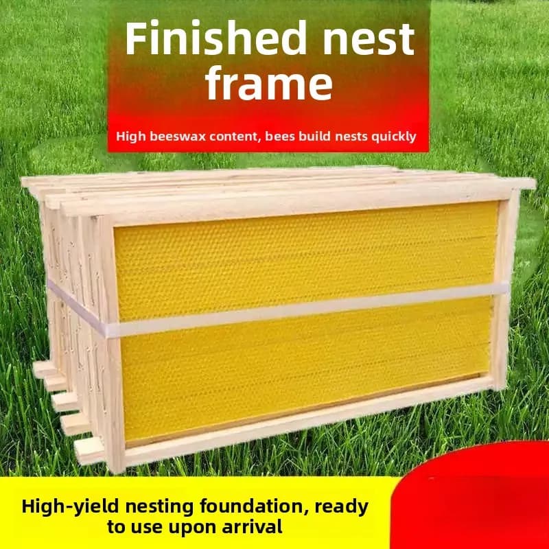 Standard Wooden Bee Hive Frames Pre-installed Comb Foundation Cedar Complete Beekeeping Tool For Apis Mellifera Apis Cerana