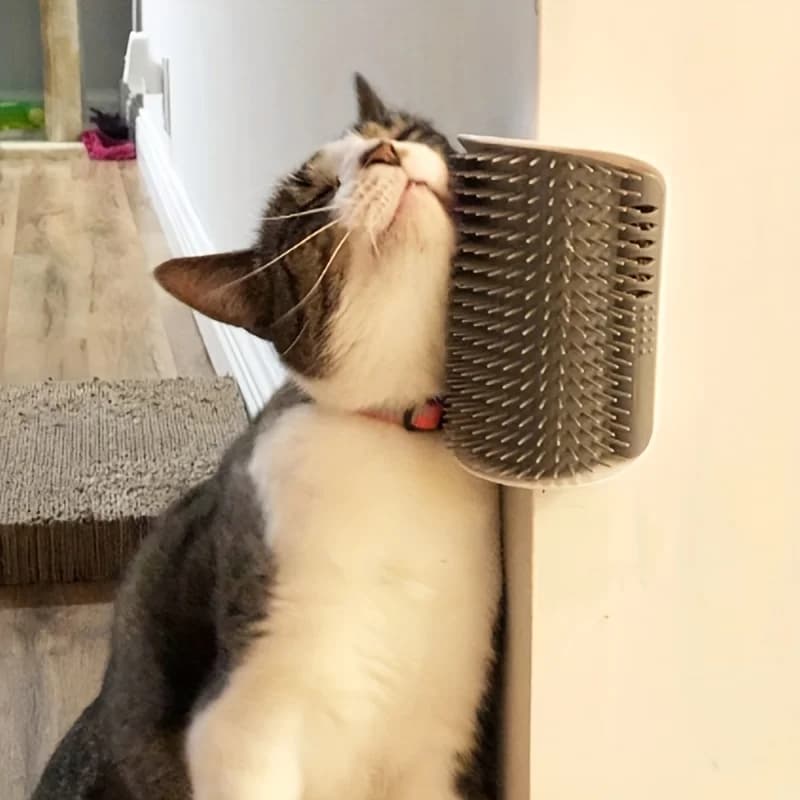 Dispositivo per graffiare e accarezzare i gatti, un giocattolo per alleviare l'aldio e l'autospirazione, dispositivo per la toelettatura dei gatti