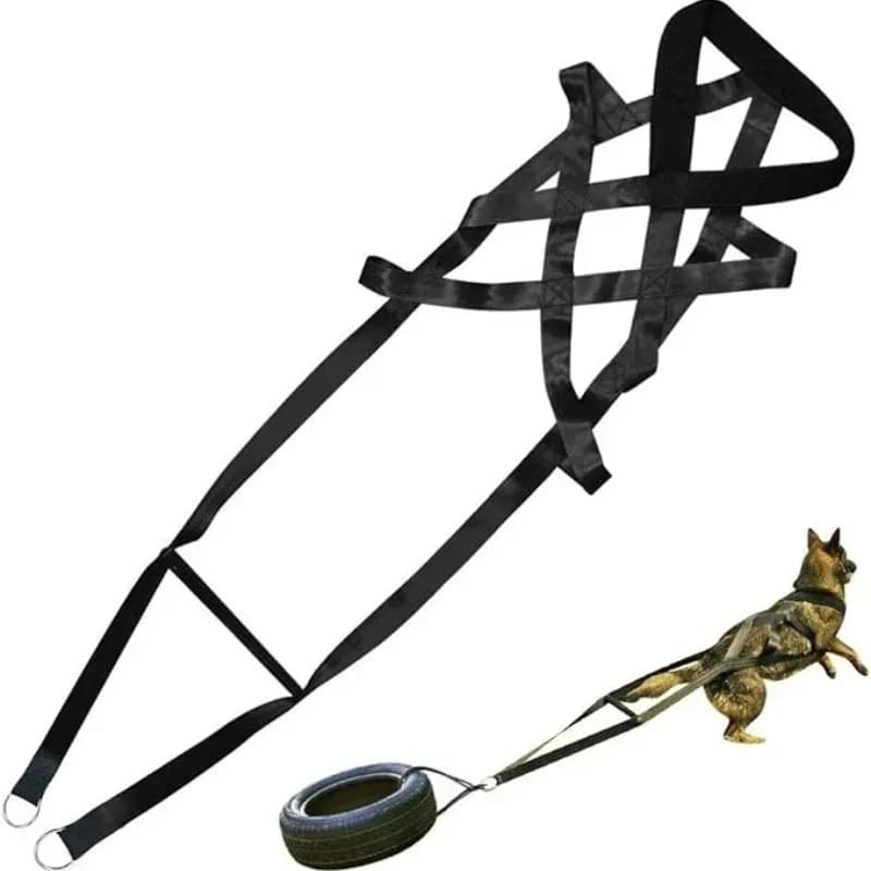 Set di imbracatura e guinzaglio per gilet tattico per cani durevole regolabile all'ingrosso in fabbrica Forniture per addestramento per cani di grandi dimensioni