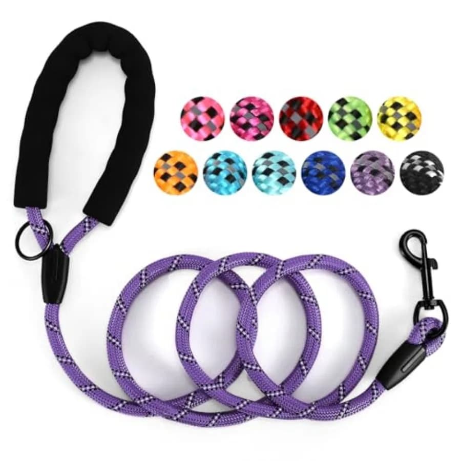 Heavy Duty Dog Leash - 4.9 FT for Large and Small Dogs - Strong Nylon, Comfortable Handle, Reflective Stitching - Ideal for Wal