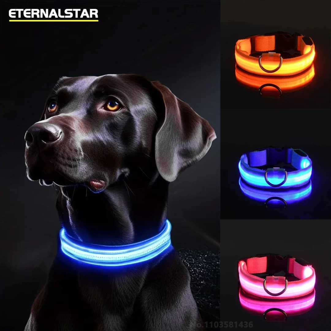 Collare per cani a LED riflettente per la notte, lampeggiante, luminoso al buio, guinzaglio per cani, collare fluorescente luminoso per cani, prodotti per animali domestici