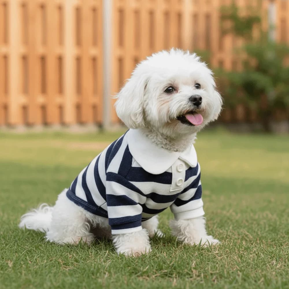 Abbigliamento per Animali Domestici: Maglietta a Righe con Colletto per Cani, T-Shirt Traspirante e Morbida, Gilet Rinfrescante Confortevole, Felpa con Cappuccio per Gattini