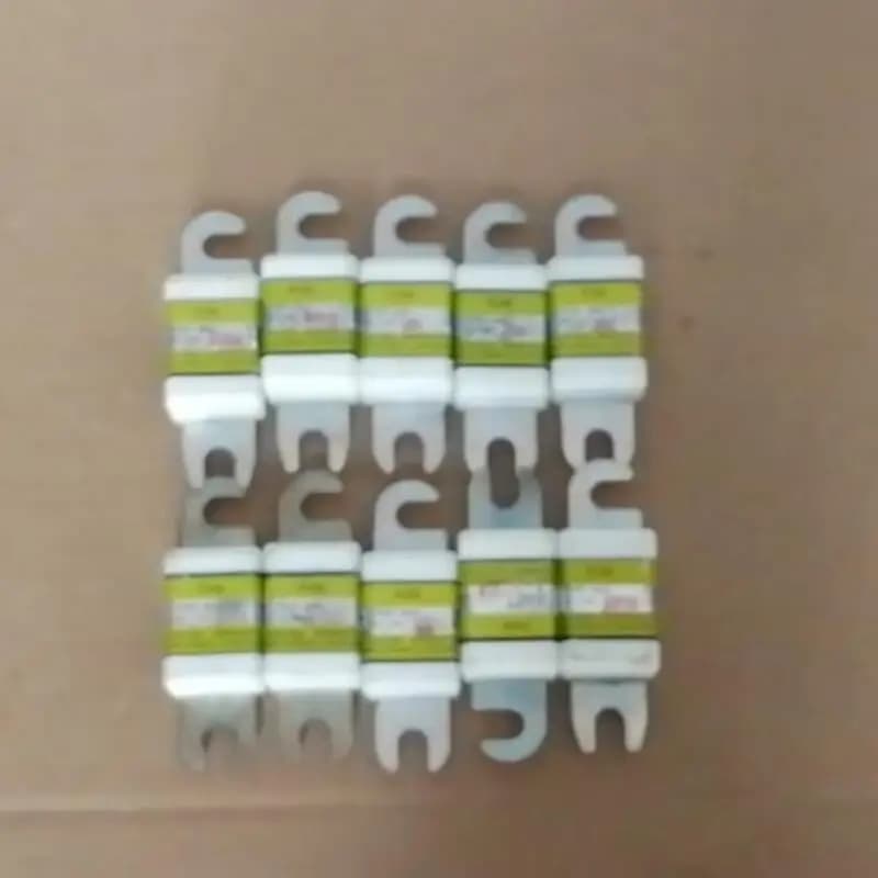 5 Pezzi Fusibili Ceramici ANL per Caricabatterie Auto, Carrelli Elevatori e Stacker, 50A 80A 100A 125A 150A 200A 250A 300A 350A 400A 425A 500A