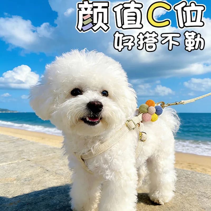 Adjustable Dog Harness and Leash Set, Pet Walking Chain for Corgi Bichon Small Medium Dogs, Comfortable No-Pull Vest Harness