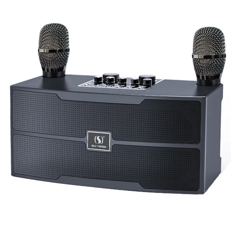 Microfono portatile wireless ad alta potenza da 120 W Altoparlante Bluetooth Suono Festa in famiglia Karaoke Subwoofer Boombox caixa de som Ys-201