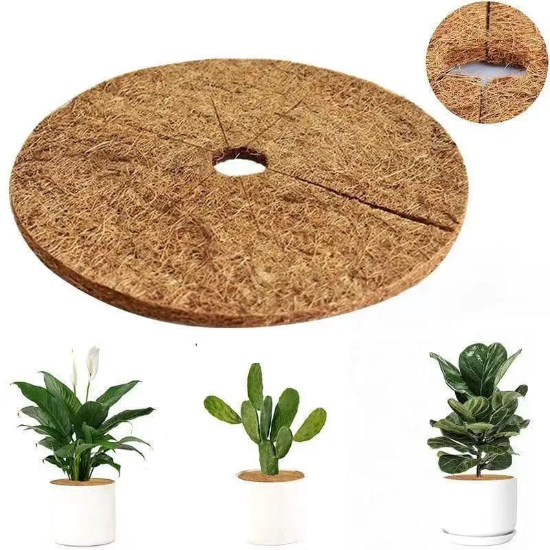 Set di 3 Anelli Protettivi in Fibra di Cocco Naturale per Piante, Tappetino Copertura per Vasi da Interno ed Esterno, Giardino