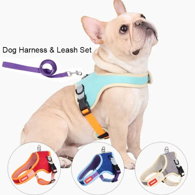 Nuovo guinzaglio riflettente per collare per cani guinzaglio per imbracatura per cani Set per piccoli cani di taglia media in pelle scamosciata di Nylon cucciolo di cane gatti guinzaglio