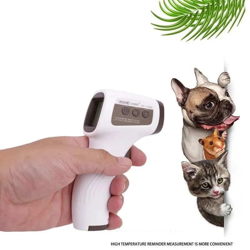 Termometro Attrezzatura veterinaria Prodotto elettronico per il corpo Senza contatto Senza contatto Per cani da compagnia Infrarossi Digitale Lettura istantanea medica