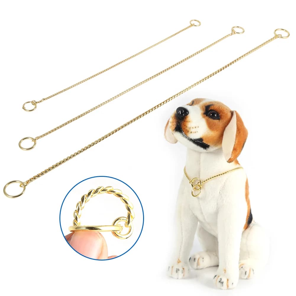 Collare a Catena per Cani in Metallo Dorato/Nero, 3 Misure, Nuovo, per Addestramento e Esibizioni