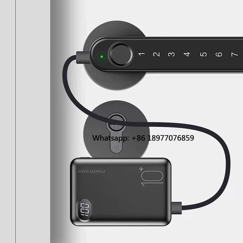 Serratura Intelligente con Interfaccia di Ricarica USB 2026, Sensore di Impronte Digitali e Password