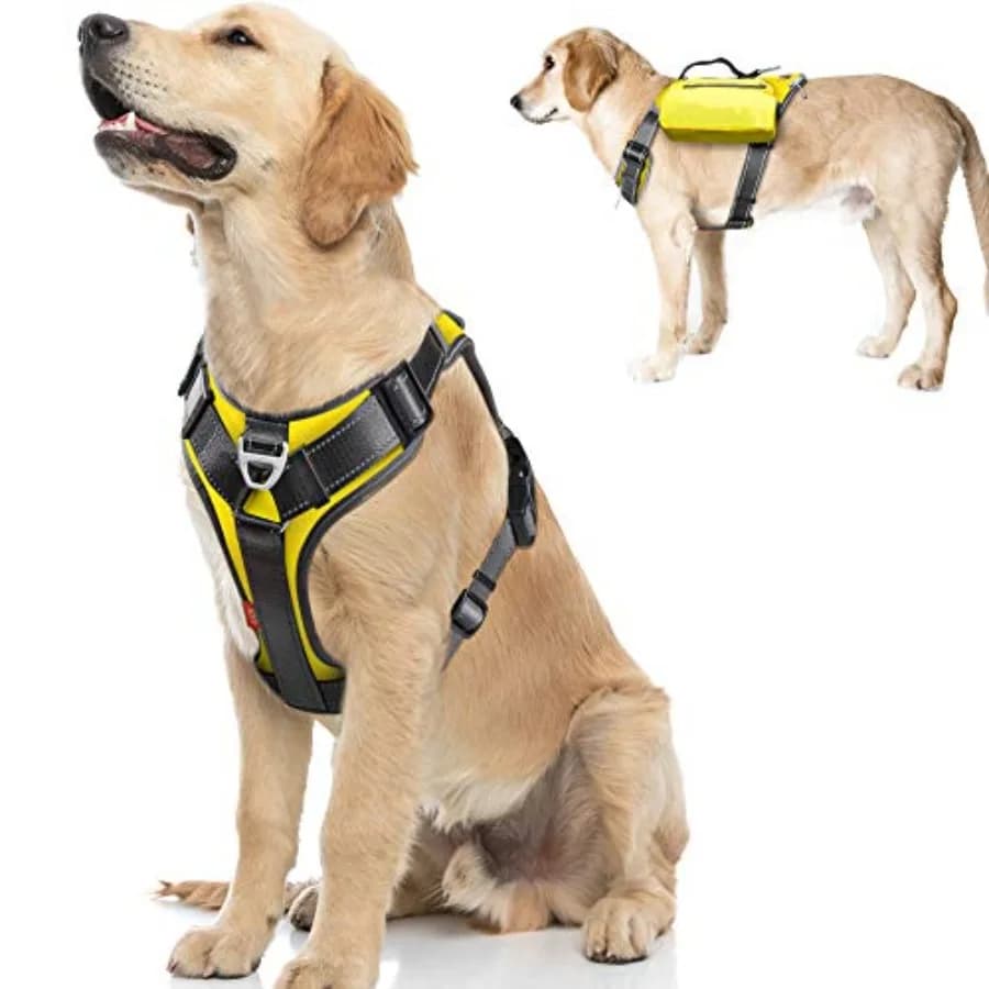 Pettorina Multifunzionale per Cani Anti-Trazione con Borse Laterali, Zaino, Clip Anteriore per Guinzaglio, Regolabile, Imbottita Morbida, Riflettente