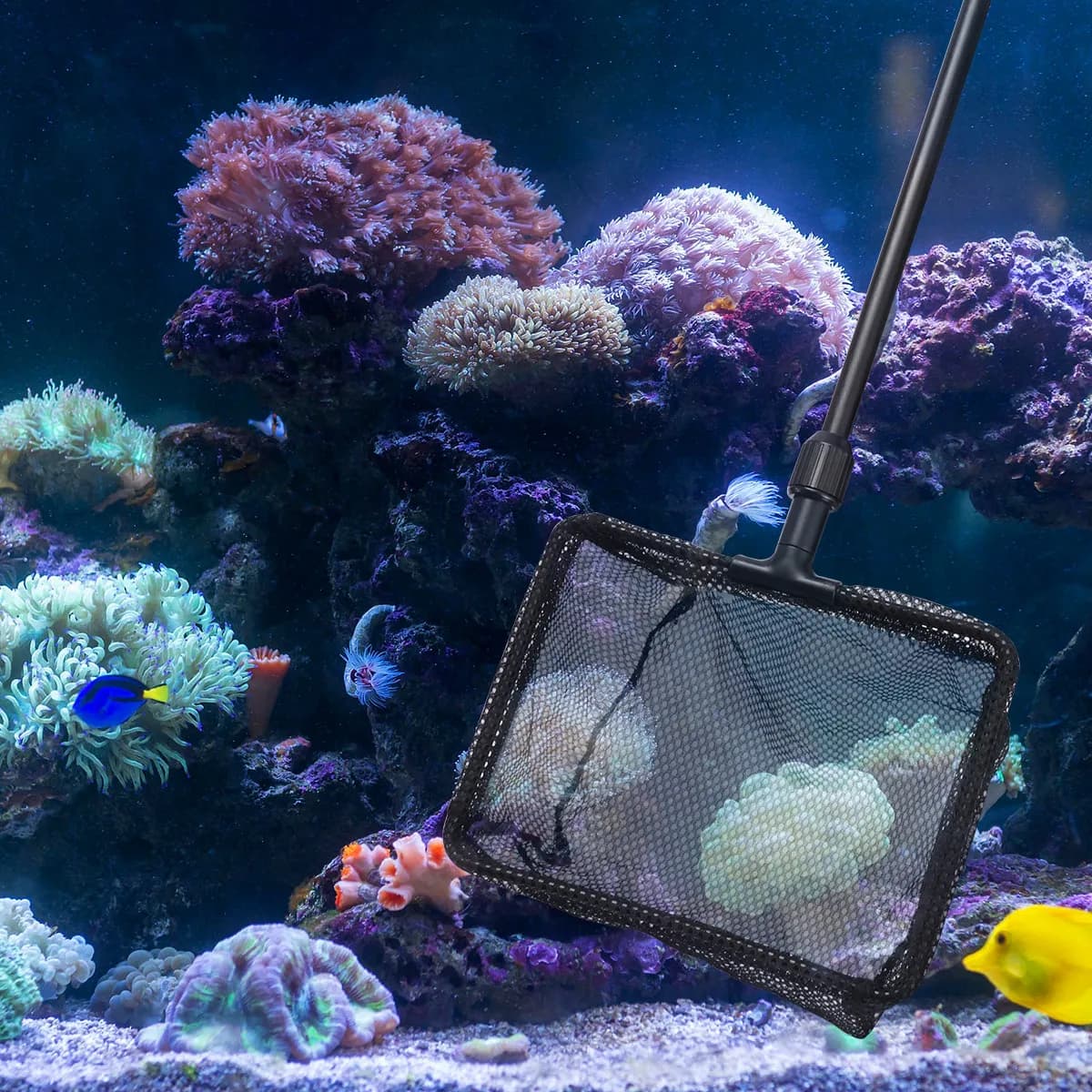 Guadino da Pesca Telescopico Estensibile con Manico in Plastica, Rete in Nylon Resistente e Impugnatura Antiscivolo per Laghi e Stagni