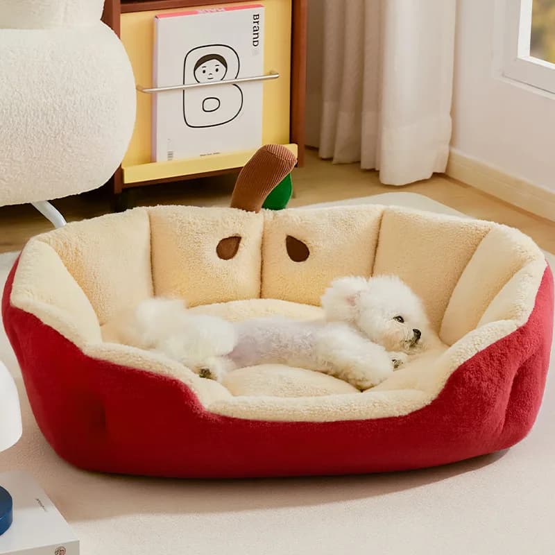 Cuccia per Cani GP a Forma di Divano per Cani Teddy Bear, Bichon e Razze Piccole, Comoda Imbottitura in Cotone per Tutte le Stagioni