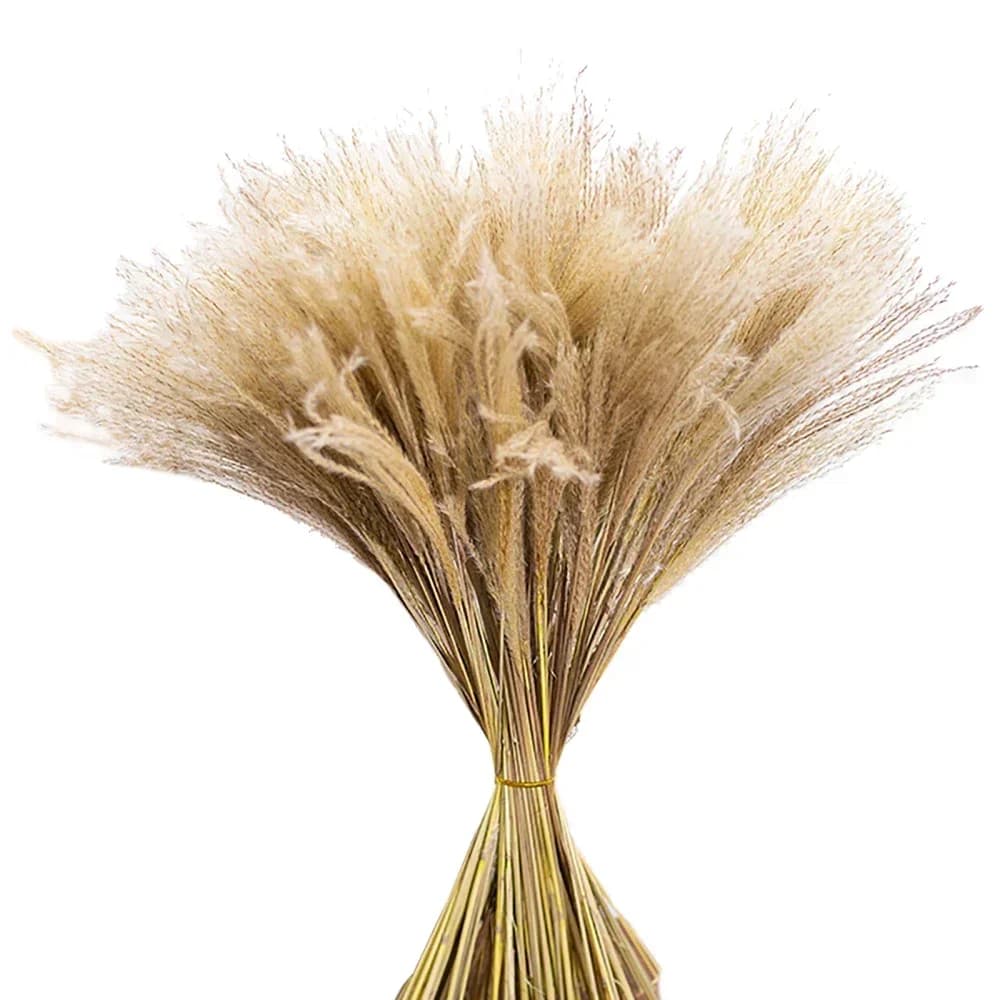 Fiori artificiali Pampa Erba Decor Piante alte Phragmites Decorazione della casa 20 pezzi Reed Fotografia Prop Fiore finto