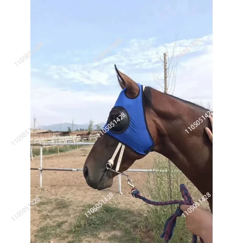 Supplies for seat belts, seat covers, windproof bandage, fast running glasses, mesh mask, horse hood