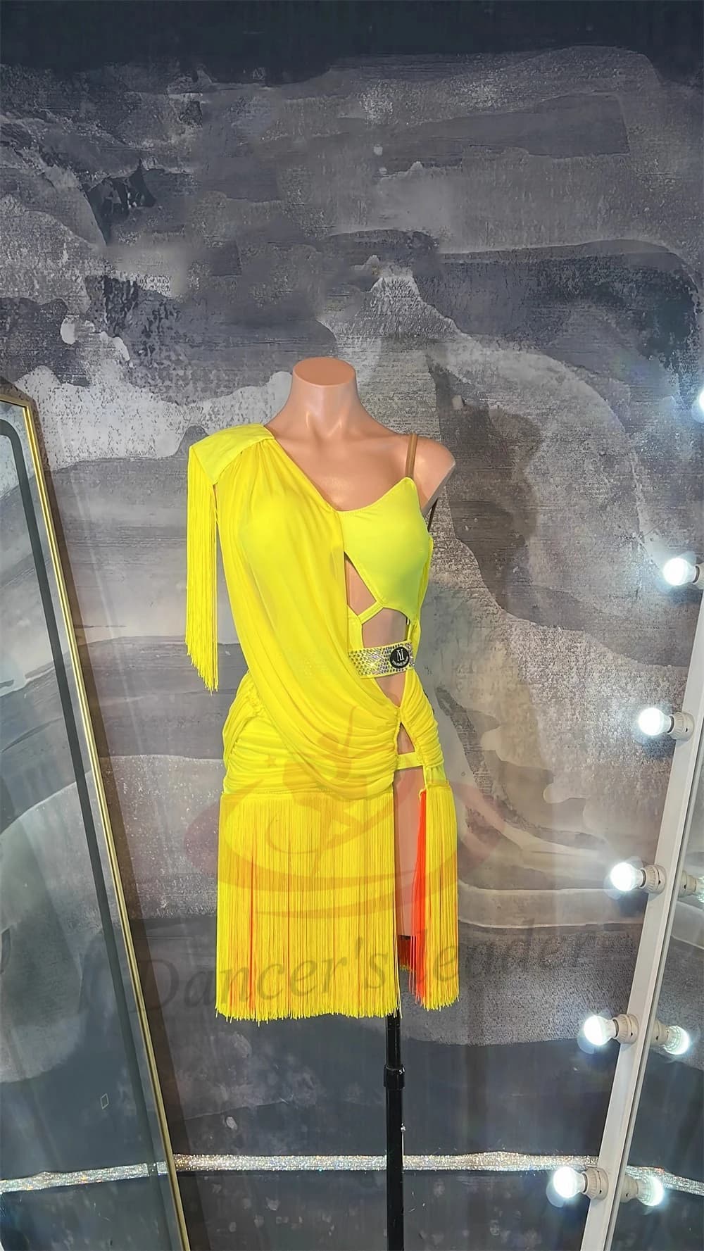 Abito da ballo latino per adulti e bambini, personalizzato di alta gamma, design semi-trasparente, abbigliamento professionale da tango per donna