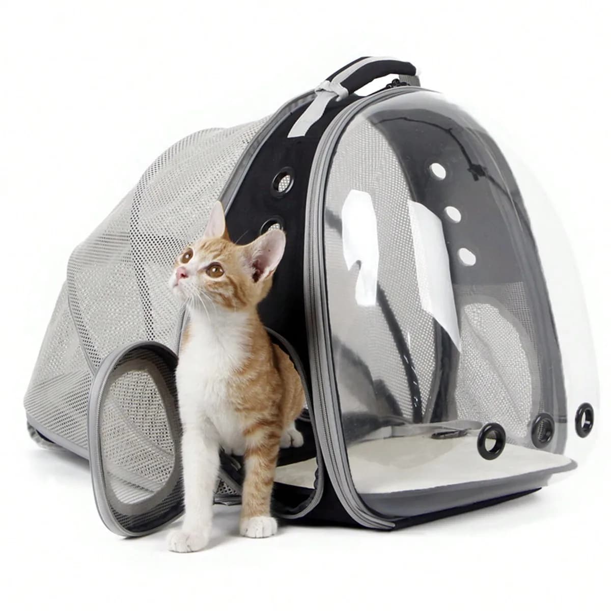 Zaino Trasportino per Gatti, Adatto a Gatti e Cuccioli fino a 5,4 kg, Trasportino per Animali Domestici con Finestra Trasparente a Bolla Stile Capsula Spaziale Astronauta