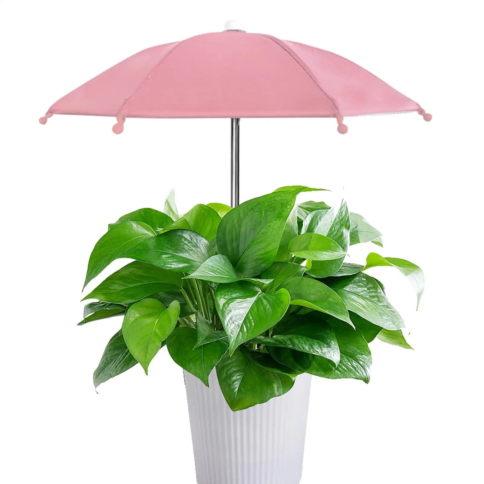 Plant Umbrellas UV Protection Cover Garden Umbrella Shade Plant Sunshade Umbrella For Succulents Bonsai For Plants Potted Plants