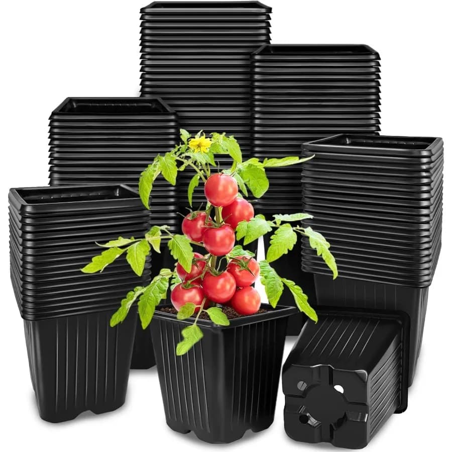 100 Square Vases for Plants from 3.5 Inch Vivary, Plastic Vases with Draining Holes, Reusable Vases for Semina di Fiori e Verdure