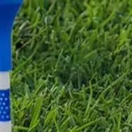 10/20/50 pezzi Tees da golf Tees da golf in plastica infrangibili riducono l'attrito Spin laterale Tees da golf lunghi sfusi