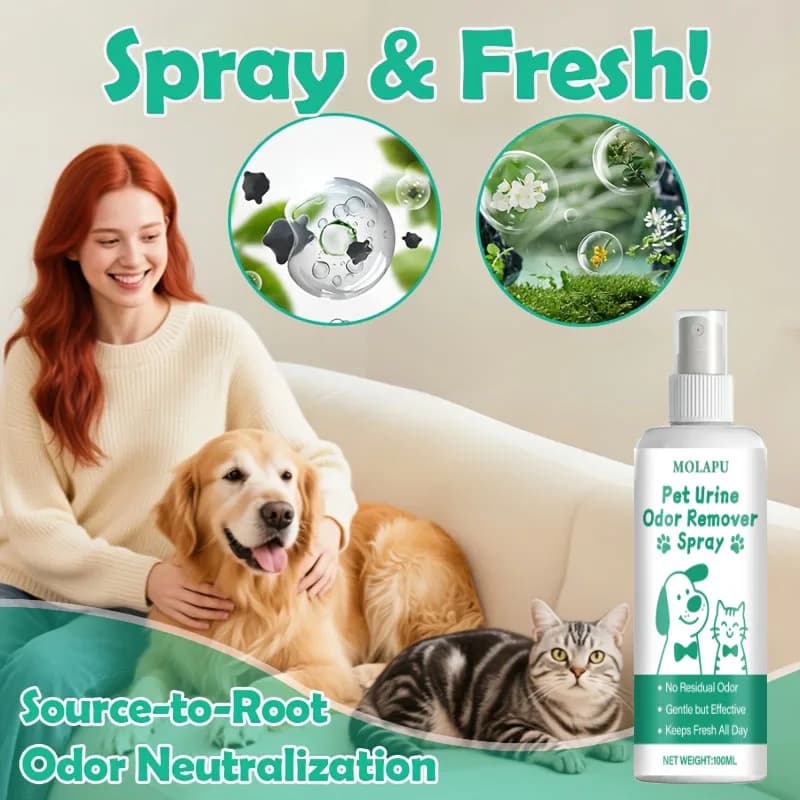 Spray Deodorante per Macchie di Urina di Animali Domestici - Efficace Eliminatore di Odori per Odori di Urina Difficili, Adatto per Tappeti, Pavimenti e Mobili, Adatto agli Animali Domestici, Senza Residui, Asciugatura Rapida, Ideale per Proprietari di Animali Domestici Molto Occupati