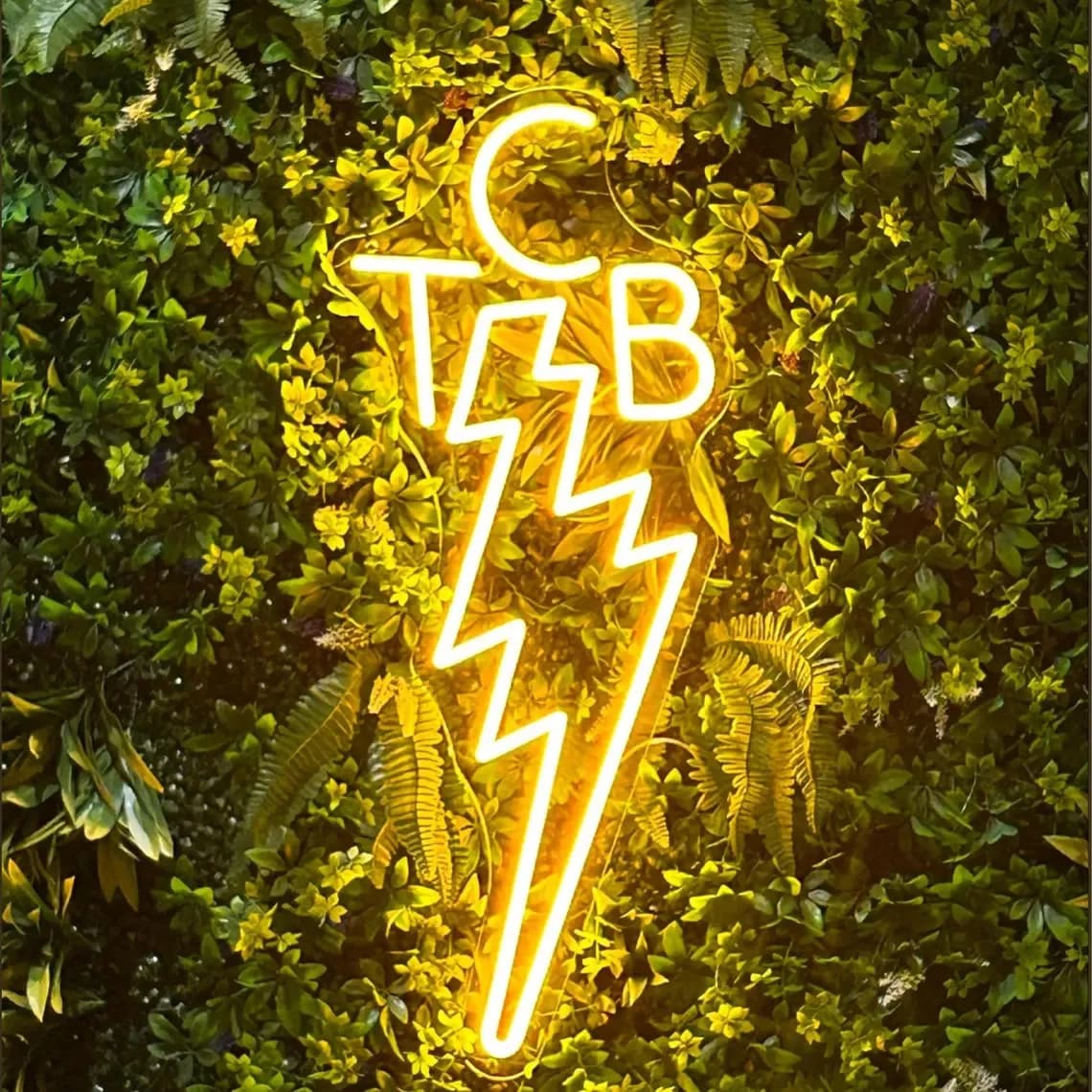 Prendendo cura dell'insegna al neon aziendale, decorazioni per la casa con fulmini, arte da parete per studi musicali, regalo per gli amanti della musica, arte da parete TCB, regalo per lui e lei