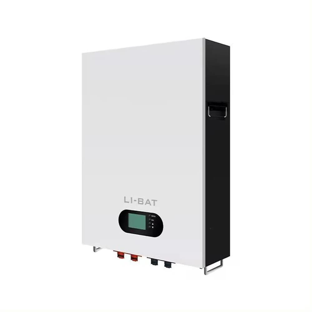 Batteria agli ioni di litio Lifepo4 da 10kWh 5kWh 5kWh 51.2V 200Ah 100Ah Batteria per sistema energetico di accumulo domestico Powerwall montata a parete per uso domestico