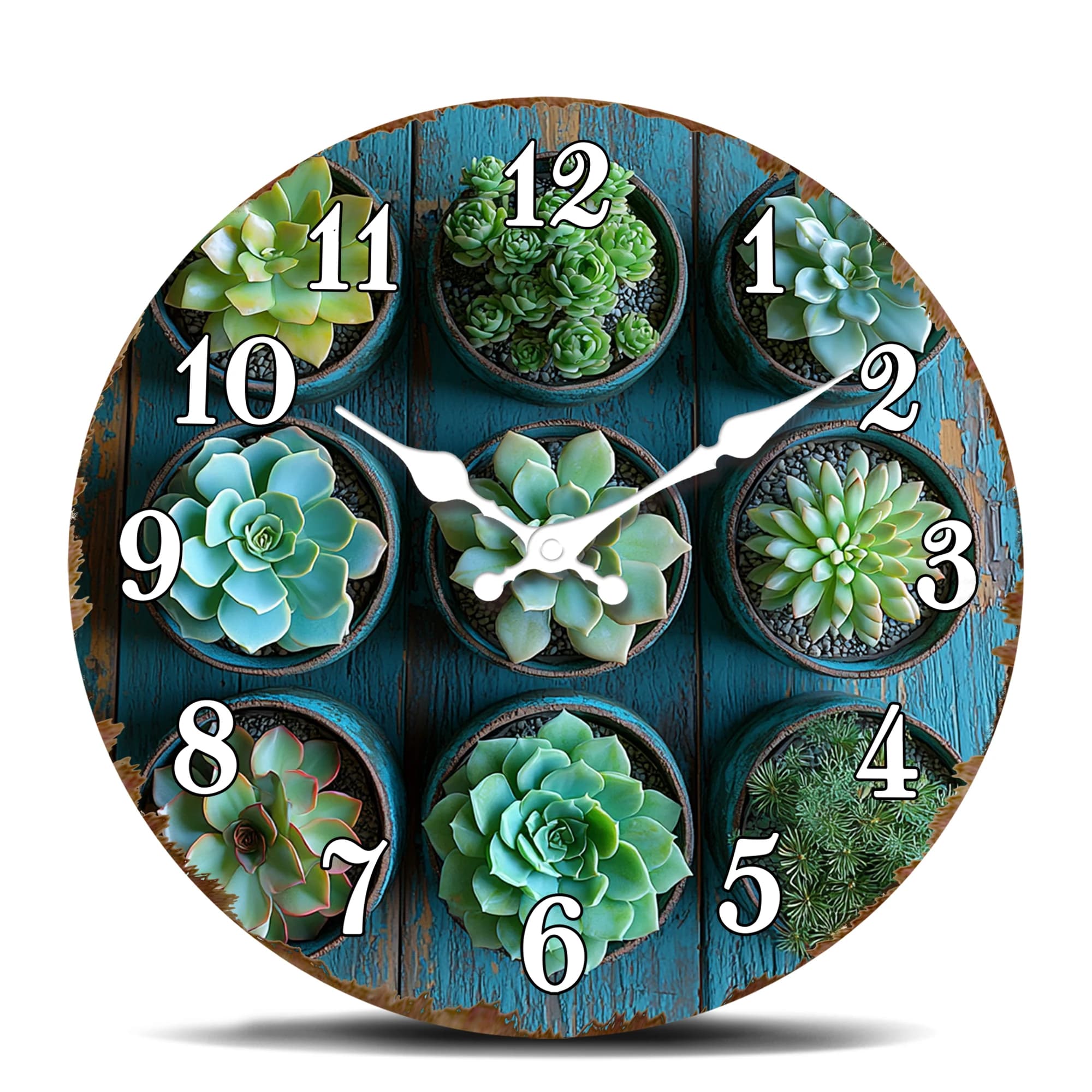 Round Wall Clock with Succulent Plant Composition, Vibrant Green Decoration for Botanical Furniture, Vase Plants Theme