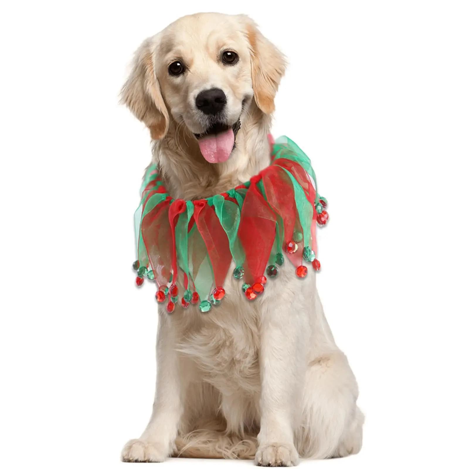 Collari per cani di Natale, vestire le vacanze per le vacanze invernali del festival di Halloween