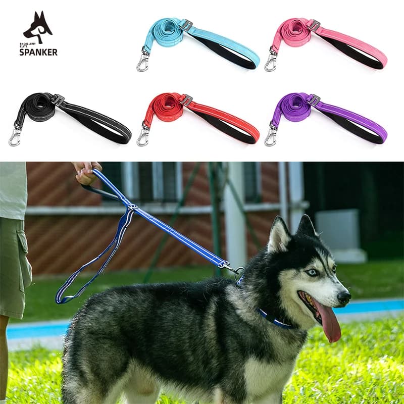 Guinzaglio per Cani da 2,5 cm, Guinzaglio Regolabile da 1 Pollice, Corda di Sicurezza per Viaggiare con il Cucciolo, Accessori Durevoli per Passeggiare i Cani