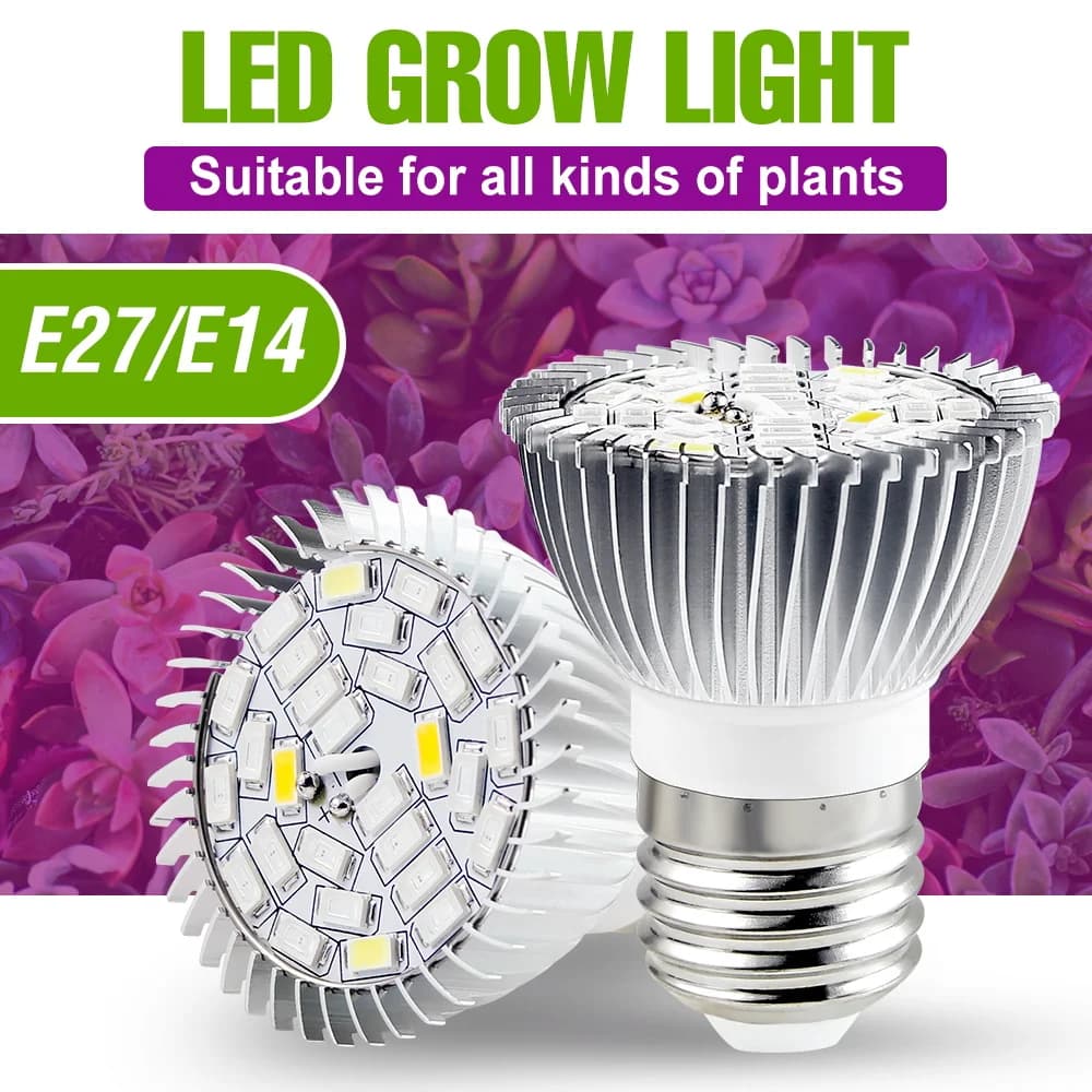 E27 220V LED Plant Coltiva Lampadina E14 Spectro Complete Flowers Seeds Vegetables Hiponic Coltura for Interior Cultivation Box Lamp 110V E26