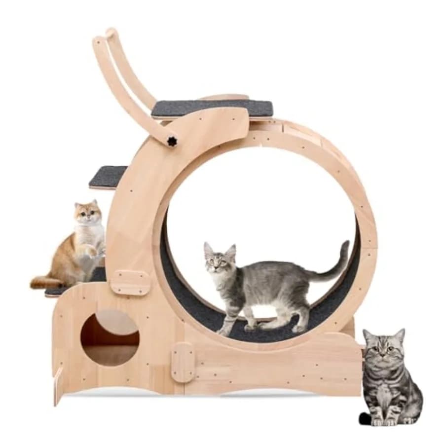 Cat Wheel Upgraded: Tapis Roulant per Gatti da Interno con Ruota Silenziosa e Tunnel, Giocattolo Fitness Grigio per Divertimento Senza Fine