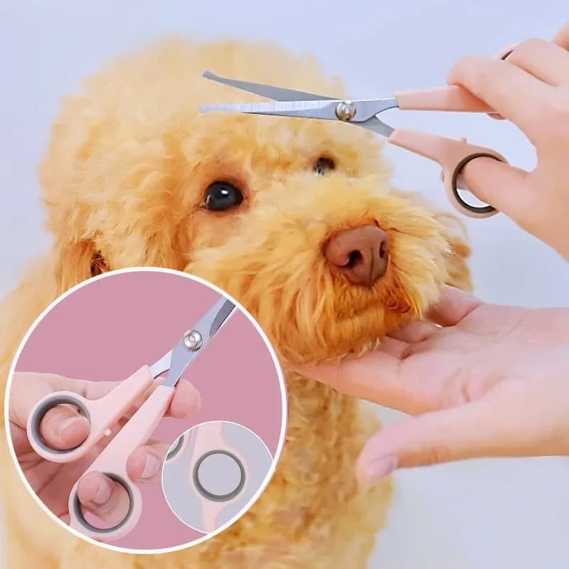 Forbici per Pelo di Cane, Tosatrice per Cani, Forbici in Acciaio Inossidabile per Toelettatura Cani con Protezione per le Mani, Accessori per Animali Domestici